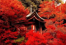 Discover our collection of the uk's much loved designer wallpaper brands. Japan Red Wallpapers Top Free Japan Red Backgrounds Wallpaperaccess