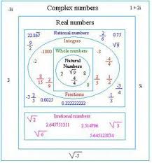 Classification Of Numbers Image Www Basic Mathematics Com
