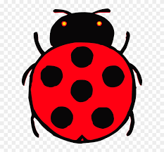 Feel free to print this page and use as a drawing tutorial. Ladybird Cartoon 10 Buy Clip Art Beetle Drawing For Kids Free Transparent Png Clipart Images Download