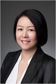 The Board of Directors and the Professional Council