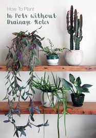 How To Plant In A Pot Without Drainage Holes House Plant Pots Indoor Plants Diy Plants