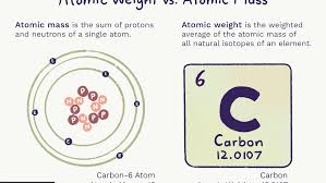 Your atomic number is the amount of protons within the atom. Difference Between Atomic Weight And Atomic Mass