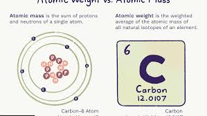 Your atomic number is the amount of protons within the atom. Difference Between Atomic Weight And Atomic Mass