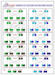 Akhilchandrika Example Of Coupling For The Dark Factor Lovebirds African Lovebirds Parrotlet Love Birds