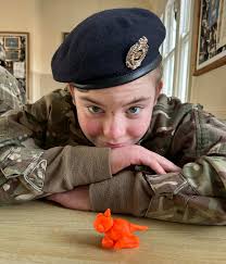 Clwyd & Gwynedd Army...