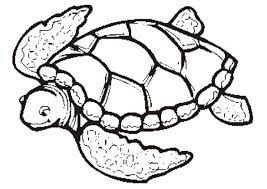 Reptiles for kids and adults fee to print. Online Coloring Pages Coloring Morskaya Cherepashka Morskie Zhivotnye Download Print Coloring Page