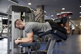 The lying hamstring curl is a great exercise you can easily do at home, to target your hamstrings and your glutes. 8 Best Leg Curl Alternatives For Strong And Flexible Hamstrings Steel Supplements