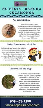 Top quality pest control of rancho cucamonga. David James Jamdavid32 Profile Pinterest
