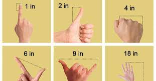 As mentioned before, the ruler has a mm, cm, and inch scale. 4 Ways To Measure Without A Ruler Healthylifeboxx