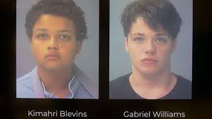 Danika Troy murder suspects indicted with premeditated murder