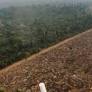 Redes criminosas afetam agora 67% dos municípios e 32% dos territórios indígenas na Amazônia