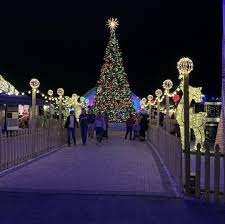 Playful or romantic, they add a festive touch to any outdoor event. Sarasota Holidays Let There Be Lights Visit Sarasota