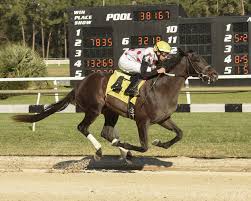 Win Win Win 2021 Kentucky Derby Oaks April 30 And May 1 2021