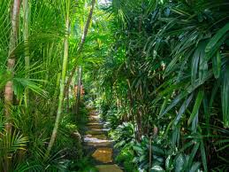 licensetochill keywest 10 tropical garden outdoor gardens landscape lighting