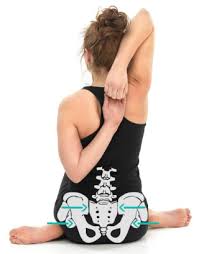 Check spelling or type a new query. Is It Safe To Begin Your Yoga Practice With Seated Poses