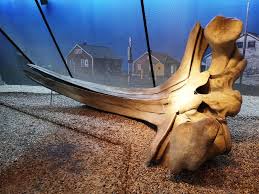 The klimahaus bremerhaven 8° ost is a mixture between a science center and theme park. Bremerhaven Mit Kindern Einmal Um Die Welt Im Klimahaus 8 Ost Weltwunderer