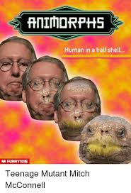 He would rather use the senate's time to whine and cry about insults to the wealthy and america's corporate giants. Mitch Mcconnell Memes Turtle