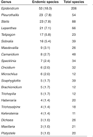 Image result for Microcharis asparagoides