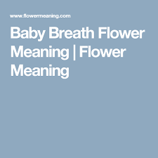 50 beautiful flower meanings that will surprise you. Baby Breath Flower Meaning Flower Meaning Flower Meanings Babys Breath Dandelion Flower