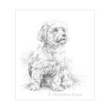 603 x 783 jpg pixel. Tekening Van Een Hondje