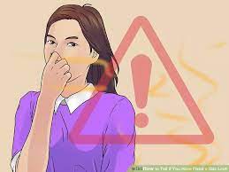 Unlike domestic gas, you won't be able to smell carbon monoxide. How To Tell If You Have Fixed A Gas Leak Leaks Gas Human Life