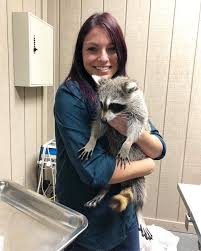 Christina collins is the new owner/veterinarian at all pets clinic ocala, fl where she takes pride in treating all of her patients with excellent care. Country Critters Veterinary Clinic Ocala Countryocala Twitter