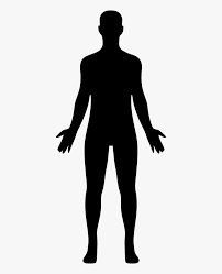 Body Png Free Human Clipart Transparent Png In 2021 Human Clipart Human Silhouette Clip Art