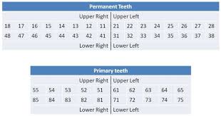 In children, the palmer notation system uses uppercase letters instead of numbers. Tooth Numbering System Fdi Iso Palmer Ada Dental Numbering Systems