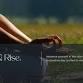 Root & Rise: A Women’s Day Retreat event image