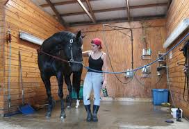 Pin By Lenslee Holman On Farm Raised Animals Horse Barns Horse Barn Plans Horses