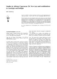 Image result for Ascolepis lineariglumis