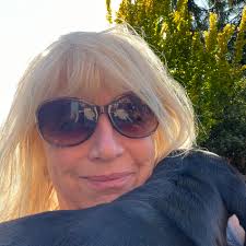 Hi, I've had my insurance renewal through from Napo, they've increased it  by £70. I've not claimed and Dottie is only one year old. Any suggestions 