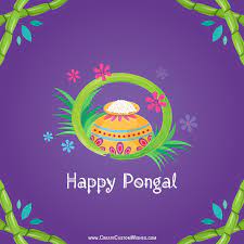 10:21 diy cement projects рекомендовано вам. Online Pongal Wishes Card Maker Create Custom Wishes