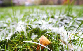 The First Frost And Your Lawn What Does This Mean