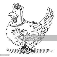 Jan 22, 2021 · a dangerous animal as if it were a cute pet. Cartoon Cute Chicken Drawing Clipart Image