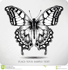 Black And White Butterfly Drawing Images Butterfly Hand Drawing Vector White Butterfly Tattoo Butterfly Hand Tattoo Butterfly Tattoo