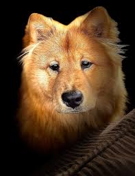 I'm not going to get a kiss😥cuz I'm not cutee💔😳