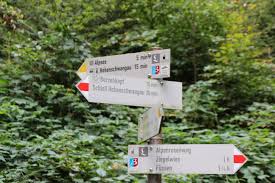 Der Alpenrosenweg Ist Ein Leichter Hohenweg Zwischen Fussen Und Hohenschwangau Auf Dem Einen Wunderschone Ausblicke Auf Zahlr Alpen Neuschwanstein Hohenweg