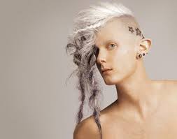 Pin On 20 Absolutely Crazy Hairstyles