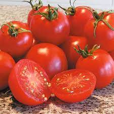 This 30 tall plant sets fruit earlier and in cooler temperatures than other varieties, and continues to. Tomato Glacier Thompson Morgan