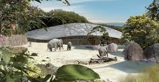 zurich zoo elephant house mageba planet zoo zoo zurich