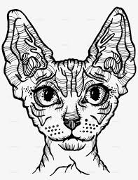 Check out these pete preschool printables with things like counting, numbers, and months of the year! Cat 7 Sphynx Cat Coloring Pages Png Image Transparent Png Free Download On Seekpng