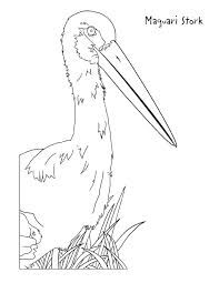 Print storks coloring pages for free and color our storks coloring! Stork Coloring Page For Kids Free Printable Picture