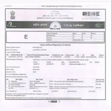 83 to 90, 1st floor, chaturbhuj building, sector 21, kharghar, navi mumbai, maharashtra 410210, mumbai. About A Sai Pest Control Mumbai Thane Navi Mumbai
