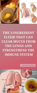 The 3 Ingredient Elixir That Can Clear Mucus From The Lungs And Strengthens The Immune System Mucus Immune System Mucus In Throat