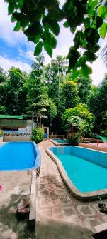 Forest Hillside Pools Photos Facebook Forest hillside pools, antipolo, rizal.