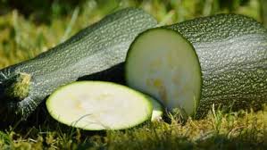Check spelling or type a new query. Zucchini Health Benefits From Weight Loss To Healthy Heart Here Are Five Reasons To Eat This Vegetable Latestly