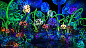 Hd wallpapers and background images. Red Trippy Mushroom Wallpaper Novocom Top