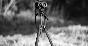 The Mamiya Is Out Something S Coming Fall Photoshoot Canon Ef Monochrome