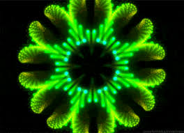 If a moving company, such as moishe's, is a member of the amsa, they have met the licensing and insurance requirements set by the amsa. Pin On Animated Gifs